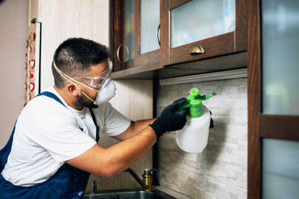 Best Residential Pest Control  in Portage, MI