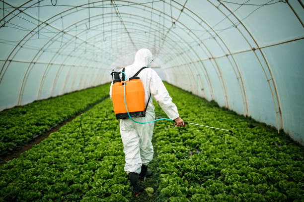 Best Best Pest Control Companies  in Portage, MI