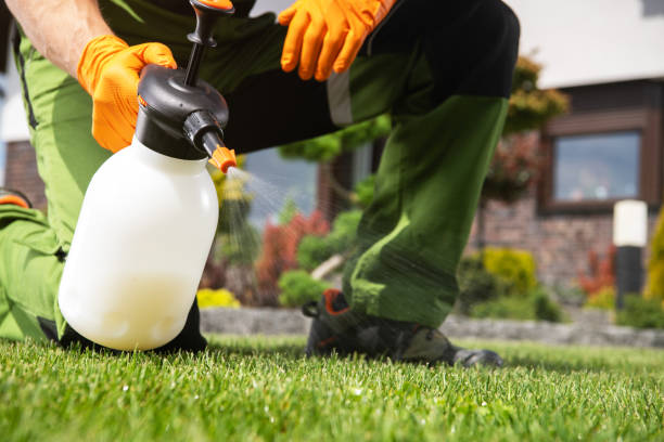Best Pest Inspection Near Me  in Portage, MI