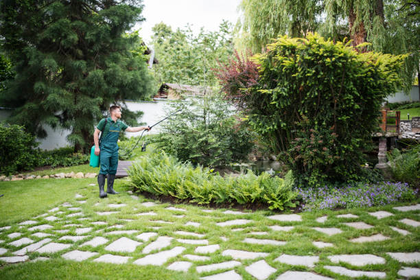 Best Pest Removal Services  in Portage, MI