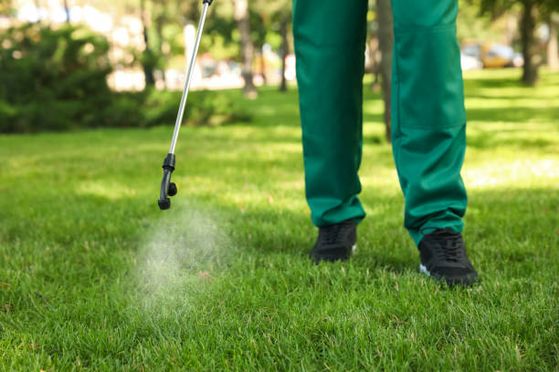 Best Cockroach Control Services  in Portage, MI