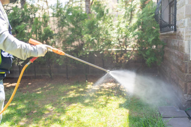 Spider Control Near Me in Portage, MI