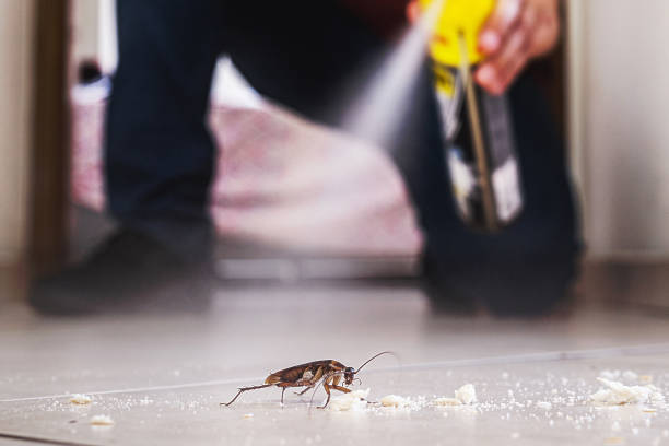 Best Cockroach Control Services  in Portage, MI