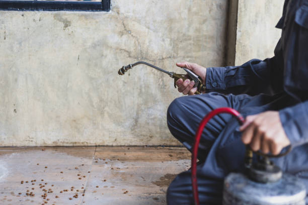 Best Termite Control Services  in Portage, MI